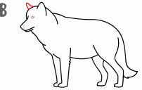 كيف ارسم ذئب 4