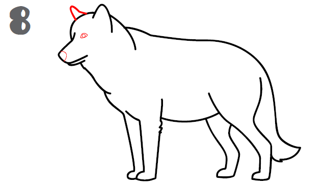 كيف ارسم ذئب 1