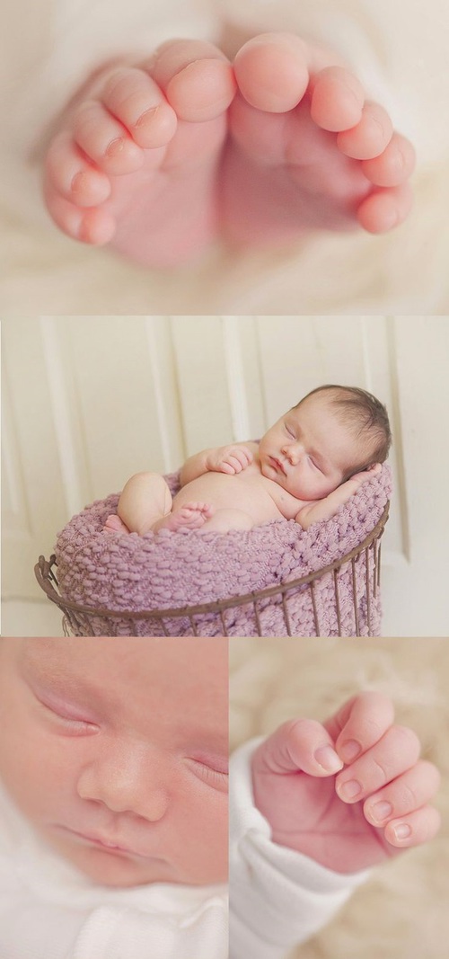 صور اطفال بيبي حلوين ليدي بيرد