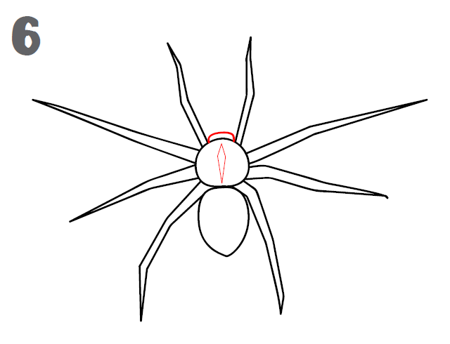 كيف ارسم عنكبوت 1
