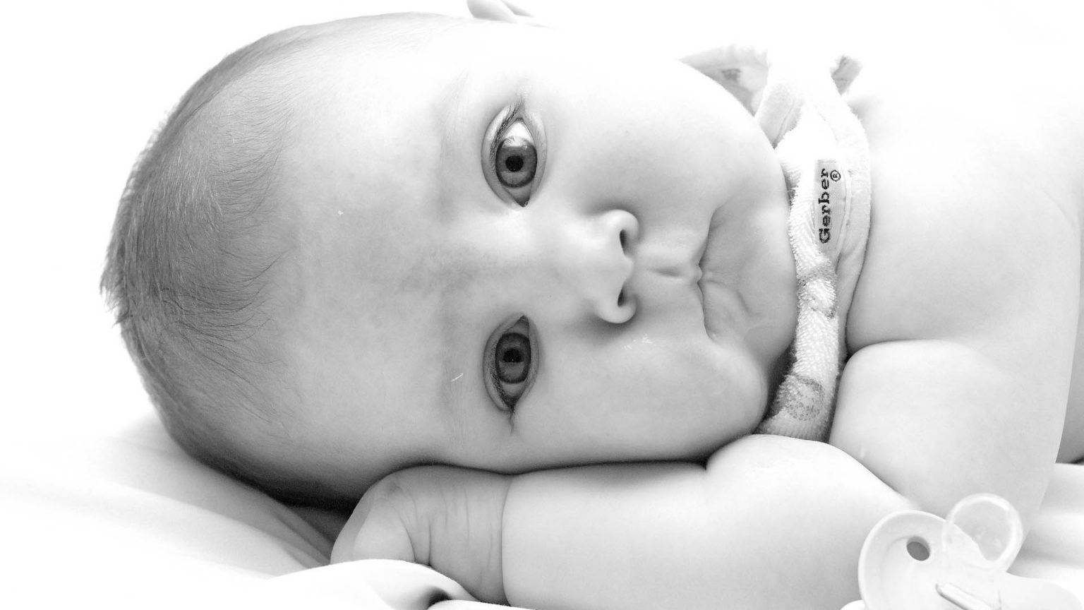 صور خلفيات بيبي ليدي بيرد