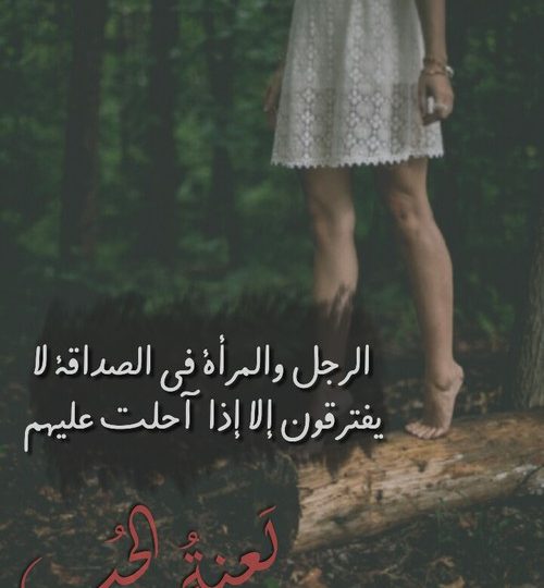 صور كلام من القلب ليدي بيرد صور كلام من القلب ليدي بيرد