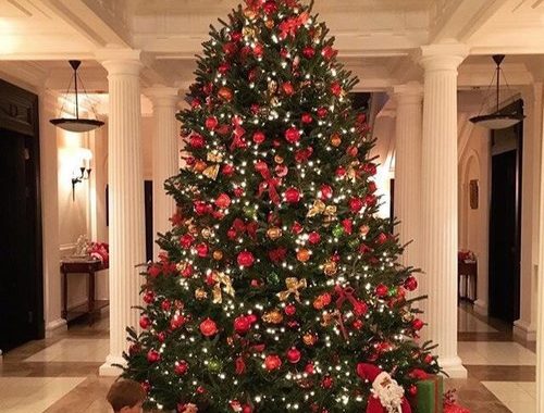 صور شجرة الكريسماس ليدي بيرد