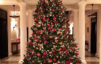 صور شجرة الكريسماس