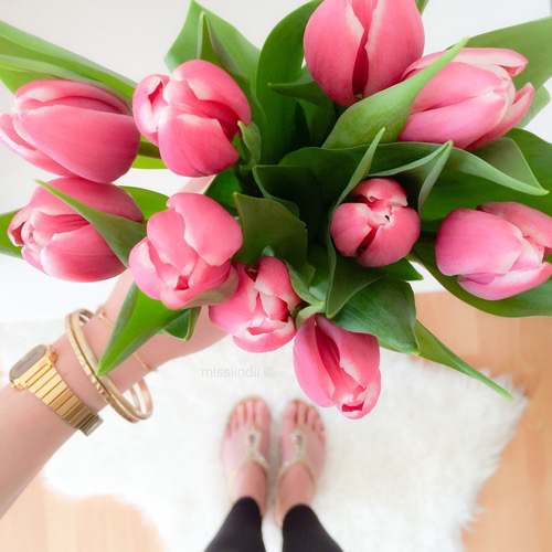 صور ورد 2020 خلفيات ورود جميلة جدا للاهداء Tulips Arrangement Tulips In Vase Amazing Flowers