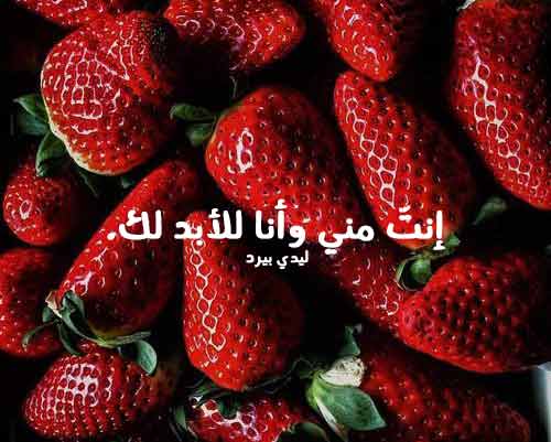 حالات حب للواتس اب قصيرة ليدي بيرد