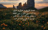 كلمات مدح حبيبي 3 كلمات مدح حبيبي 2