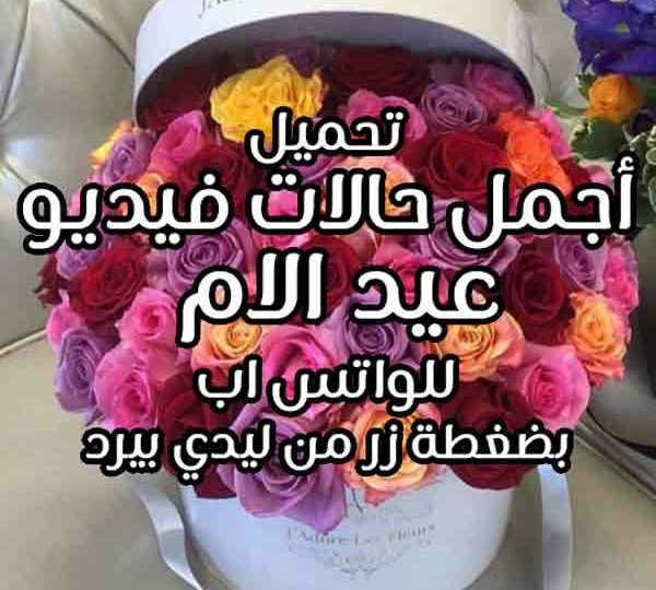 تحميل حالات فيديو عيد الام ليدي بيرد