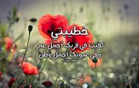 رسائل رومانسية للمخطوبين ليدي بيرد