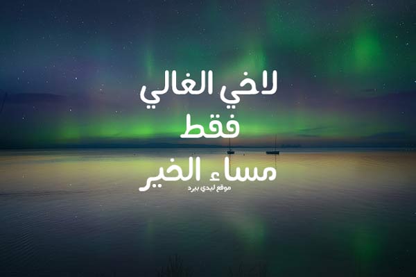 رسائل مسائية للاخ ليدي بيرد
