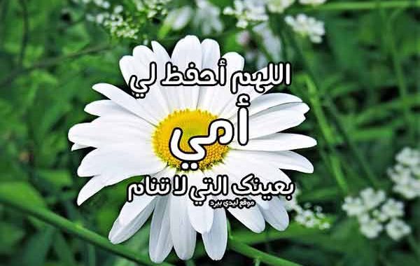 رسالة شكر الى امي وابي قصيرة