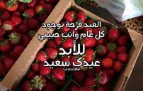 مسجات عيد الاضحى للحبيب