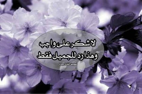 رد على رسالة شكر رسمية