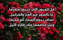 شعر حب حلو