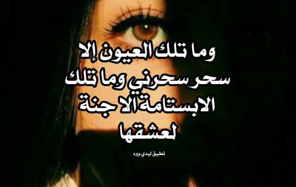 كلام جميل عن العيون - ليدي بيرد