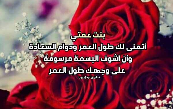 رساله إلى عمتي