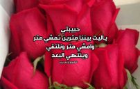 رسالة الى حبيبتي البعيدة 19 رسالة الى حبيبتي البعيدة