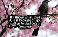 عبارات انجليزية قصيرة 9 عبارات انجليزية قصيرة