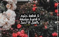 كلام انا احبك للحبيب 26 كلام انا احبك للحبيب