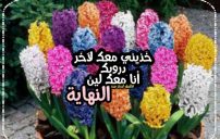 كلام انا معك 2 كلام انا معك