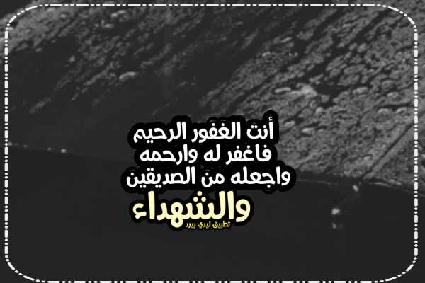 عبارات عن سنوية الميت ليدي بيرد