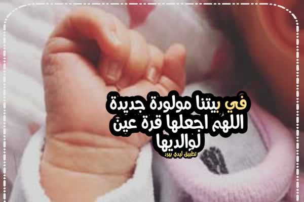 حالات عن المولودة الجديدة - ليدي بيرد