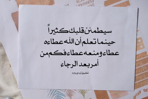 مواضيع للنشر جميلة ليدي بيرد