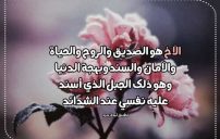 عبارات عن الاخ 3 عبارات عن الاخ