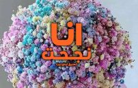 كلام انا نجحت 1 كلام انا نجحت