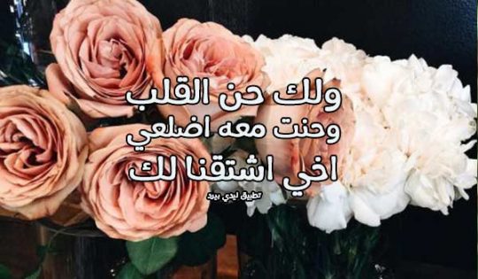 رسالة الى اخي الغائب