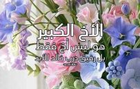 رسائل دعاء للاخ ليدي بيرد