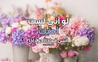كلام الى حبيبتي الغالية 23 كلام الى حبيبتي الغالية 2
