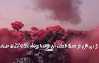 كلام رومانسي لحبيبتي 16 كلام رومانسي لحبيبتي