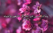 كلام يفتح النفس لحبيبتي 12 كلام يفتح النفس لحبيبتي