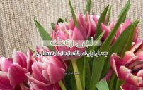 رد على كلمة لبيه 10 رد على كلمة لبيه
