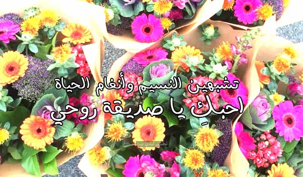 رسالة تهنئة لصديقتي site forums.hanenlove.com