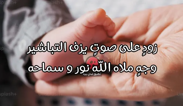 شعر عن حب الام لابنها