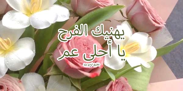 مباركة زواج عمي - ليدي بيرد