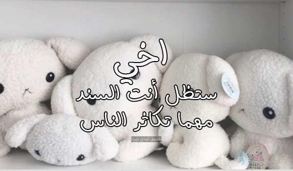 رسائل حب للأخ - ليدي بيرد
