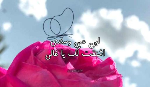 رسائل شوق لابن عمي - ليدي بيرد