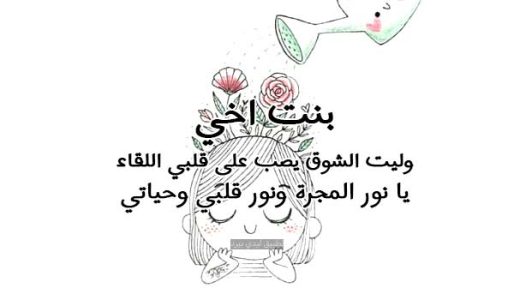 رسائل شوق لبنت اخي - ليدي بيرد