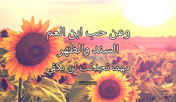 رسائل حب لابن عمي - ليدي بيرد