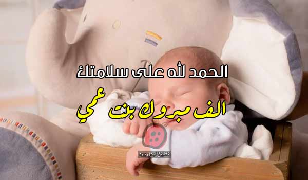 عبارات عن مولود بنت عمي - ليدي بيرد