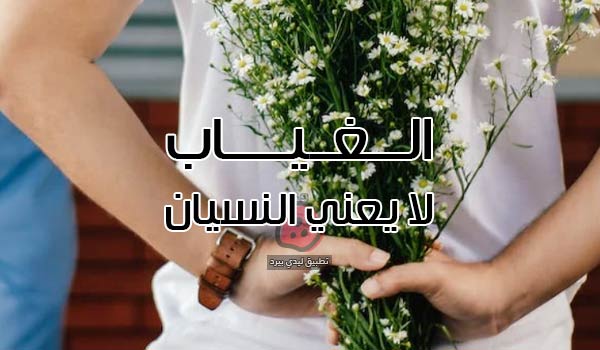 عبارات الغياب لا يعني النسيان - ليدي بيرد