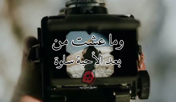 عبارات عن غياب الأحبة - ليدي بيرد
