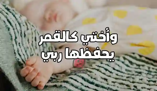 عبارات عن أختي الجديدة المولودة - ليدي بيرد