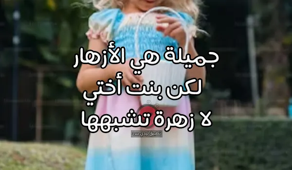 عبارات مدح بنت الأخت - ليدي بيرد