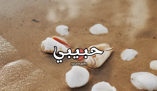 صورة مقال كلام عن حبيبي