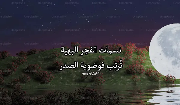 كلمات جميلة عن نسمات الفجر