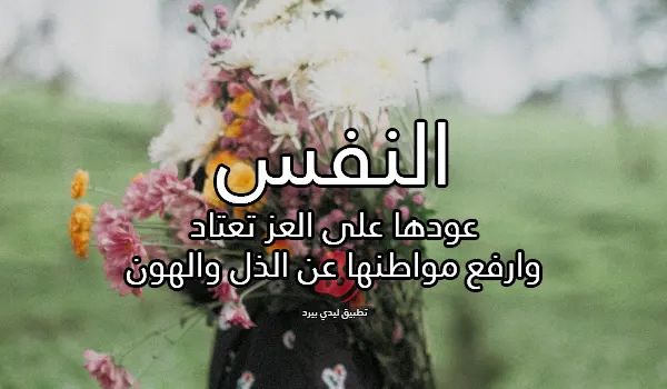 ابيات شعر عزة نفس